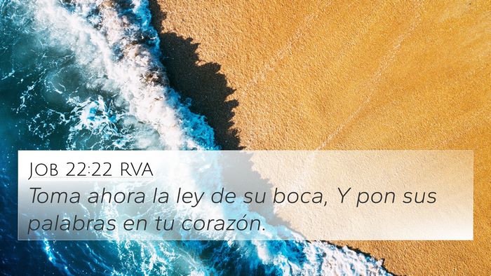 Job 22:22 RVA Bible Verse Image