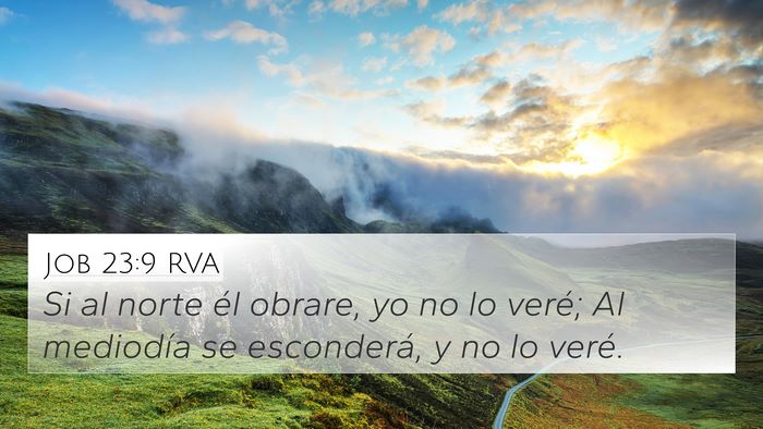 Job 23:9 RVA Bible Verse Image