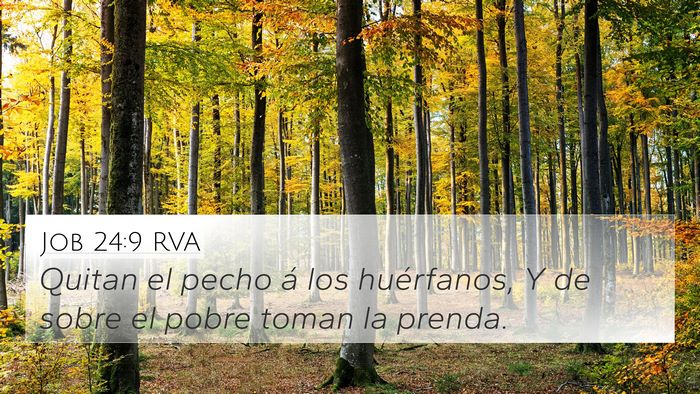 Job 24:9 RVA Bible Verse Image