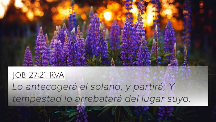 Job 27:21 RVA Bible Verse Image