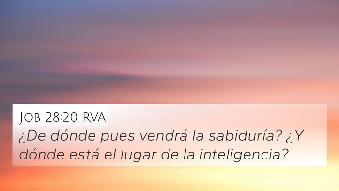 Job 28:20 RVA Bible Verse Image