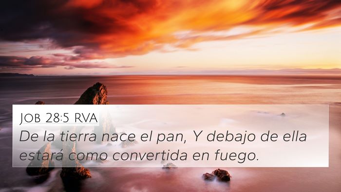Job 28:5 RVA Bible Verse Image