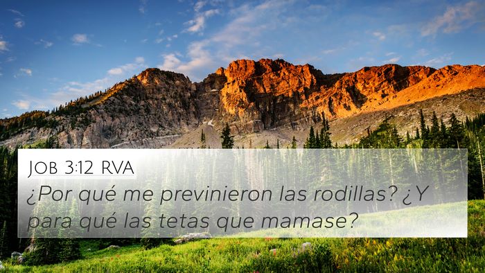 Job 3:12 RVA 4K Wallpaper - ¿Por qué me previnieron las rodillas? ¿Y para - 4K Wallpaper Bible Verse