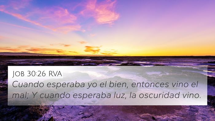 Job 30:26 RVA Bible Verse Image