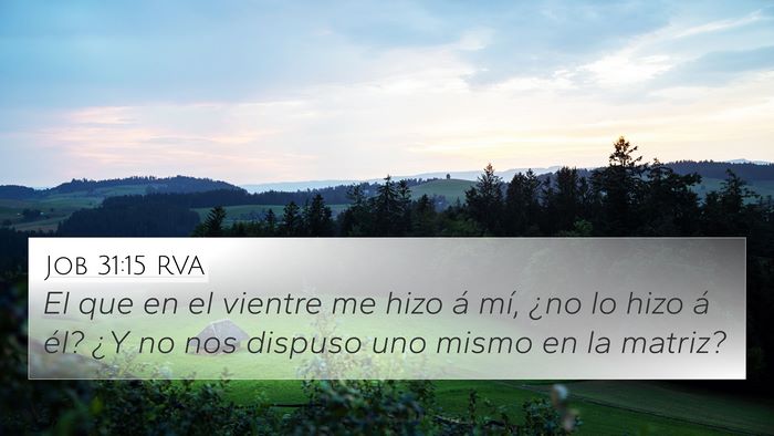 Job 31:15 RVA Bible Verse Image