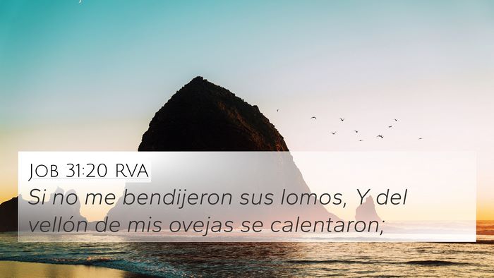 Job 31:20 RVA Bible Verse Image