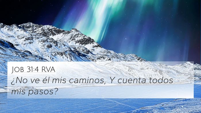 Job 31:4 RVA Bible Verse Image