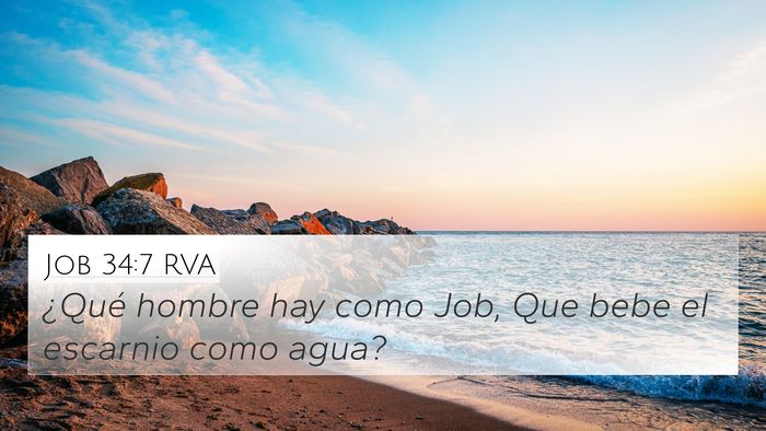 Job 34:7 RVA Bible Verse Image