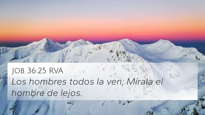 Job 36:25 RVA 4K Wallpaper - Los hombres todos la ven; Mírala el hombre de - 4K Wallpaper Bible Verse