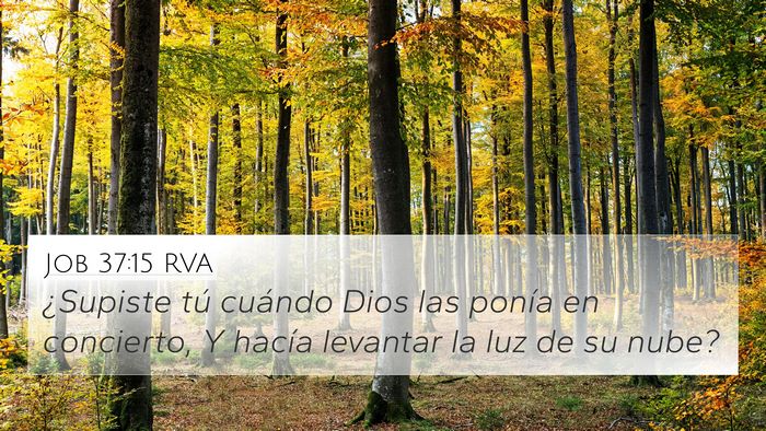 Job 37:15 RVA Bible Verse Image