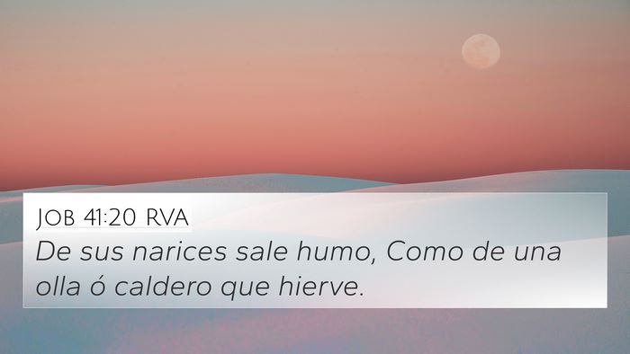 Job 41:20 RVA Bible Verse Image