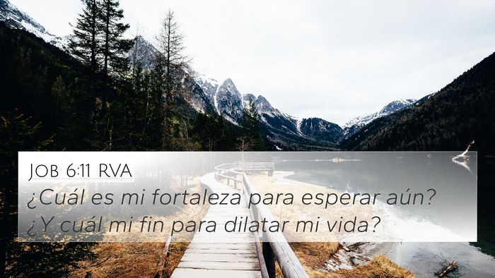 Job 6:11 RVA Bible Verse Image