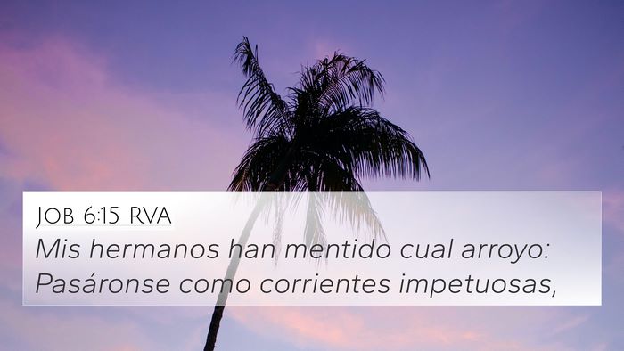 Job 6:15 RVA Bible Verse Image