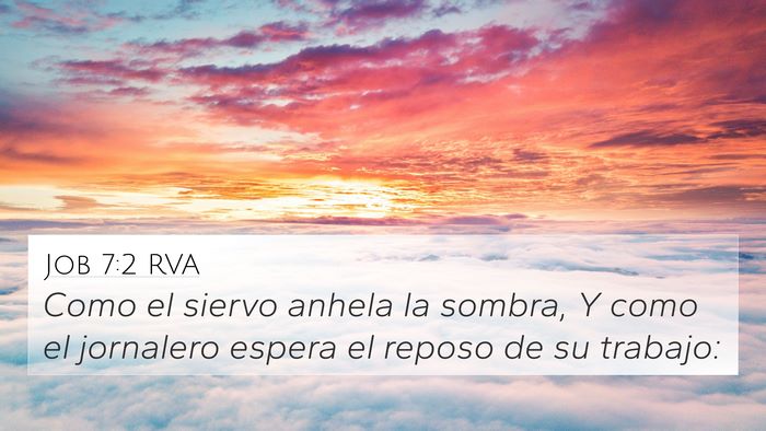 Job 7:2 RVA 4K Wallpaper - Como el siervo anhela la sombra, Y como el - 4K Wallpaper Bible Verse