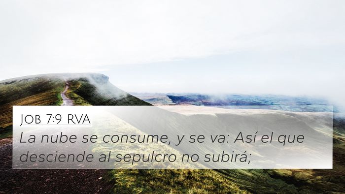 Job 7:9 RVA Bible Verse Image