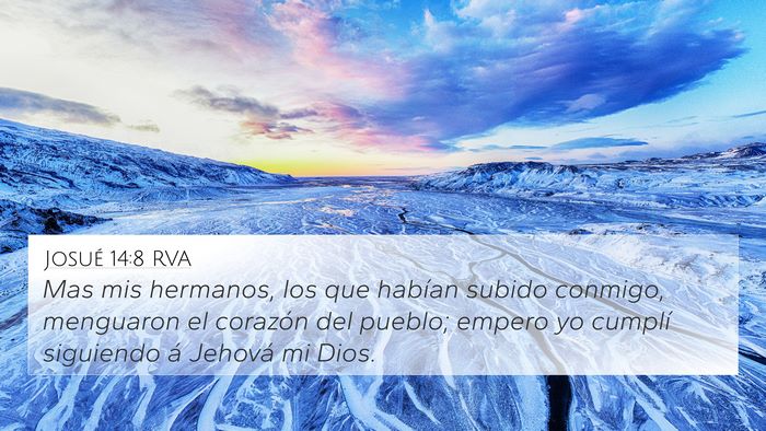 Josué 14:8 RVA Bible Verse Image
