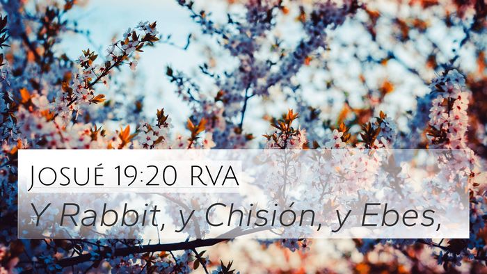 Josué 19:20 RVA 4K Wallpaper - Y Rabbit, y Chisión, y - 4K Wallpaper Bible Verse