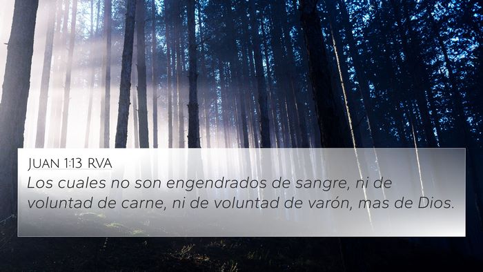 Juan 1:13 RVA Bible Verse Image