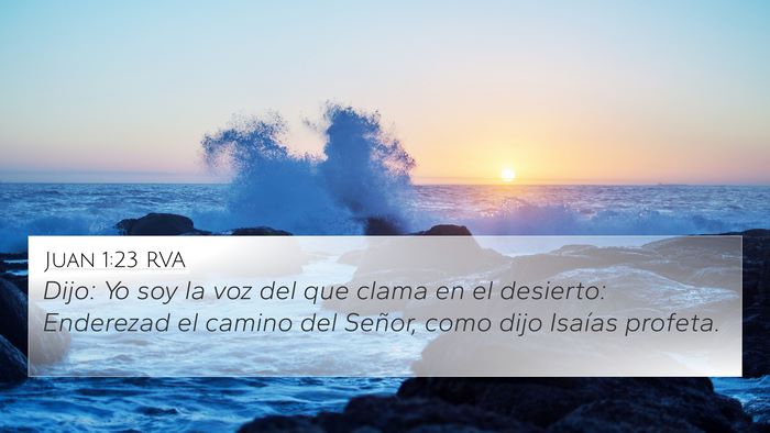 Juan 1:23 RVA Bible Verse Image