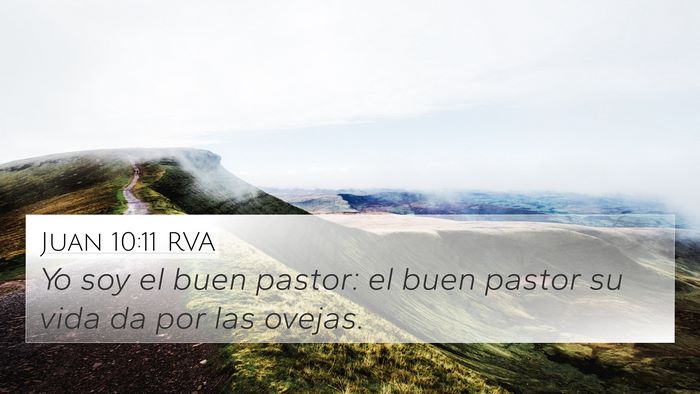 Juan 10:11 RVA Bible Verse Image