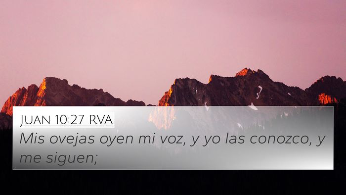 Juan 10:27 RVA Bible Verse Image