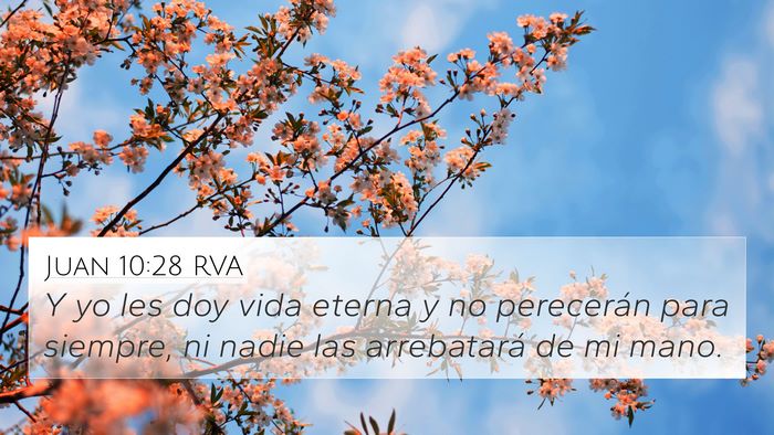 Juan 10:28 RVA Bible Verse Image