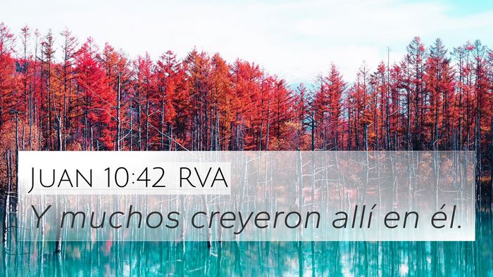 Juan 10:42 RVA 4K Wallpaper - Y muchos creyeron allí en - 4K Wallpaper Bible Verse