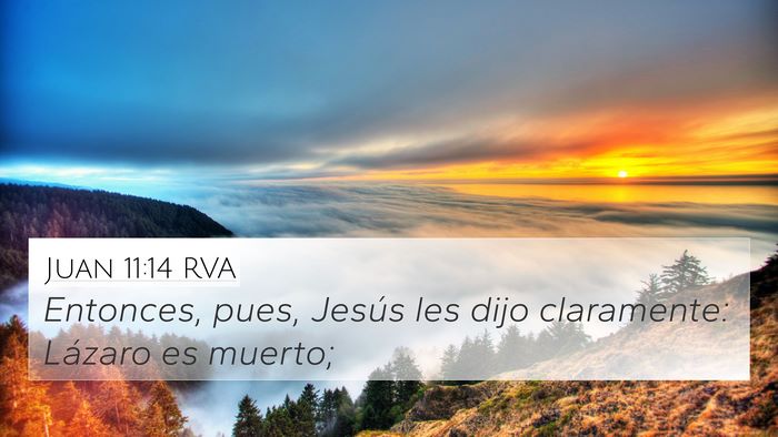 Juan 11:14 RVA Bible Verse Image