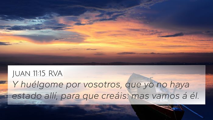 Juan 11:15 RVA Bible Verse Image