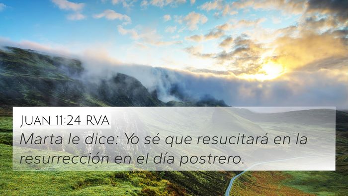Juan 11:24 RVA Bible Verse Image