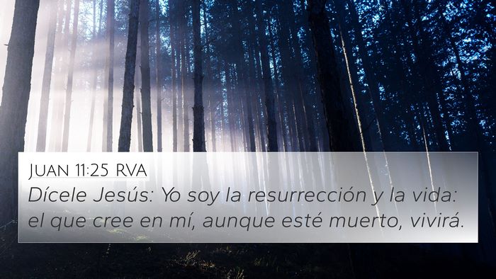 Juan 11:25 RVA Bible Verse Image