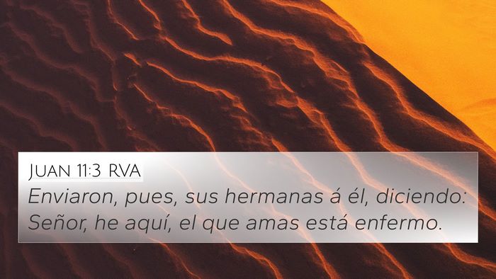 Juan 11:3 RVA Bible Verse Image
