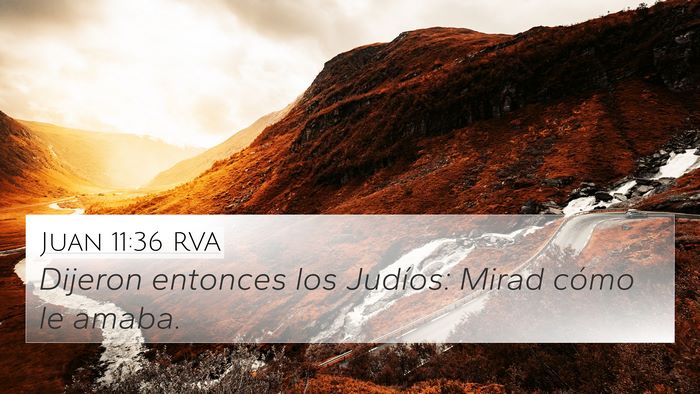 Juan 11:36 RVA Bible Verse Image