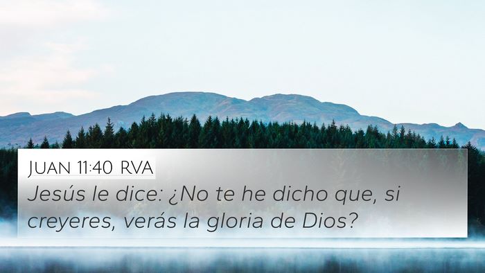 Juan 11:40 RVA Bible Verse Image