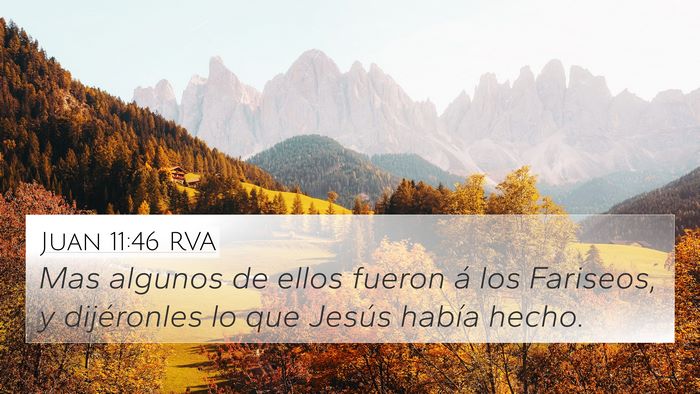 Juan 11:46 RVA Bible Verse Image