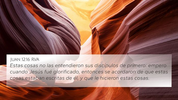 Juan 12:16 RVA Bible Verse Image