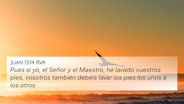 Juan 13:14 RVA Bible Verse Image