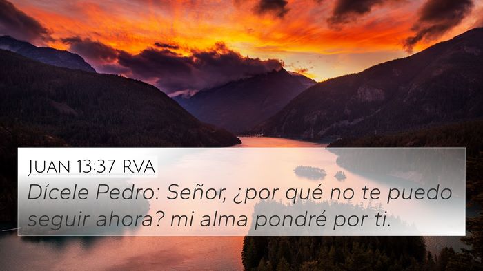 Juan 13:37 RVA Bible Verse Image