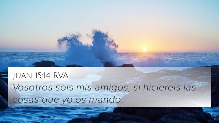 Juan 15:14 RVA Bible Verse Image