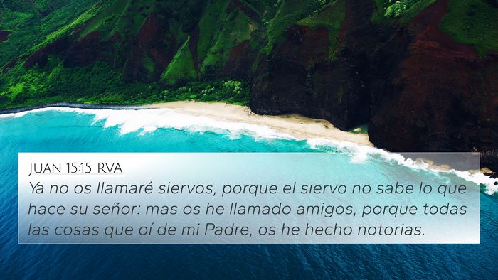 Juan 15:15 RVA Bible Verse Image