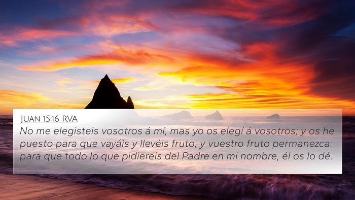 Juan 15:16 RVA Bible Verse Image