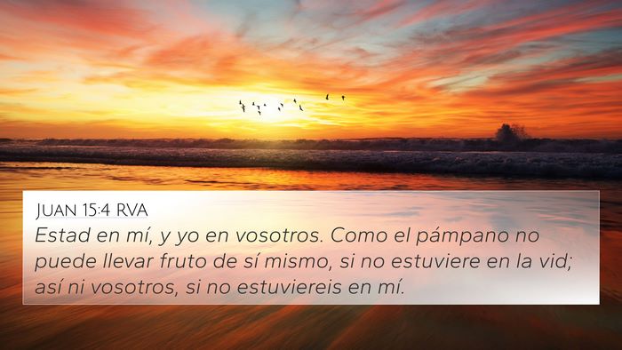 Juan 15:4 RVA Bible Verse Image