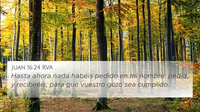 Juan 16:24 RVA Bible Verse Image