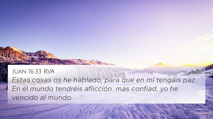 Juan 16:33 RVA Bible Verse Image