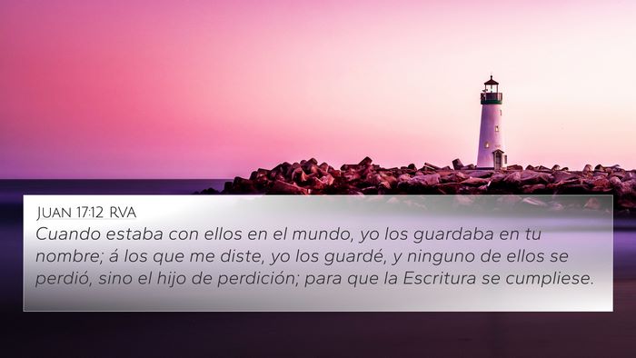 Juan 17:12 RVA Bible Verse Image
