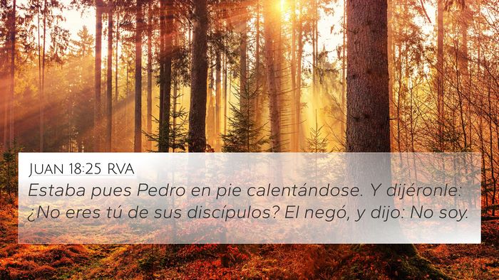 Juan 18:25 RVA Bible Verse Image