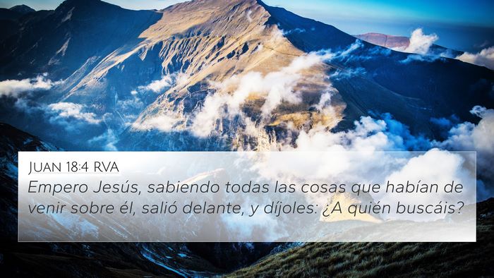 Juan 18:4 RVA Bible Verse Image