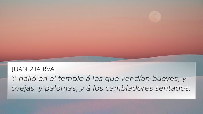 Juan 2:14 RVA Bible Verse Image
