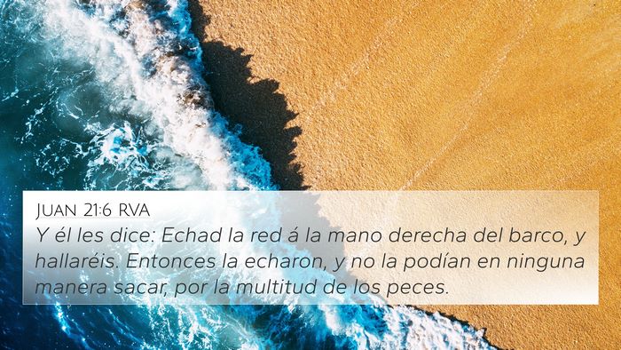 Juan 21:6 RVA Bible Verse Image