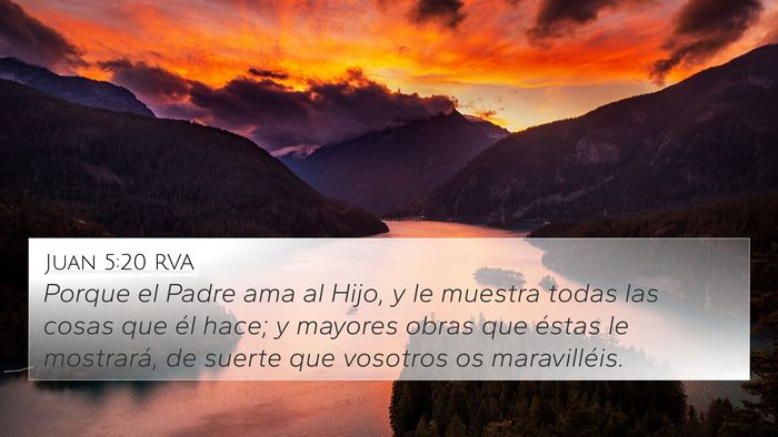 Juan 5:20 RVA Bible Verse Image